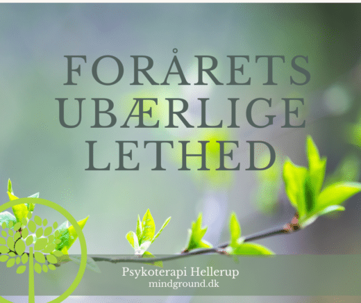 En gren springer ud i lysegrønne farver – symbol på forårets liv og paradoks